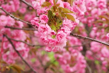 杭州上城区线下个人借款平台一站式服务，轻松解决资金难题
