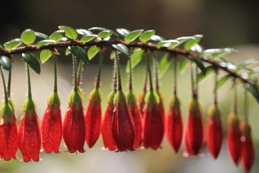 杭州上城区零用贷短借：轻松解决临时资金需求