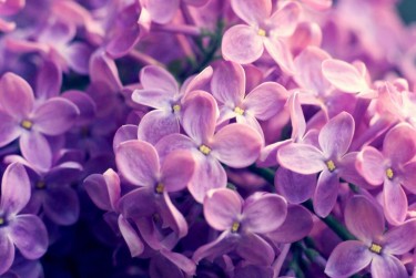 杭州上城区企业急用钱贷款攻略：快速融资解燃眉之急